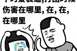 同安同安的要账公司在催收过程中的策略和技巧有哪些？